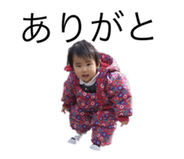 305131390