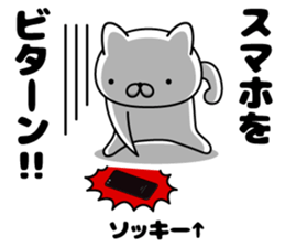 305138571
