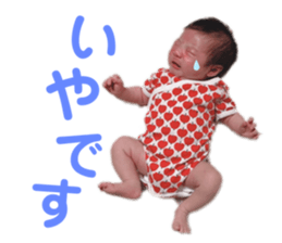 305163734