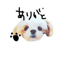 30521799