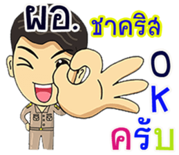 305223954