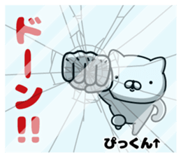 305247536