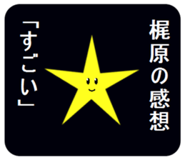 305254735