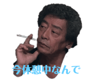 305260078