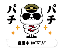 305291144