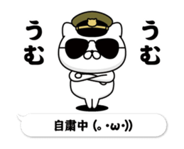 305291148