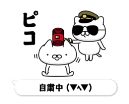 305291155
