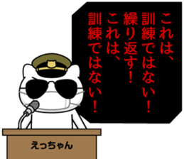 305301681