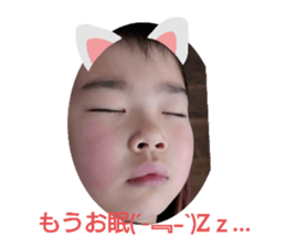 305302374