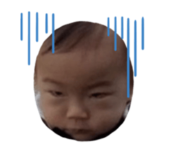 305324013