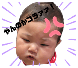 305328352