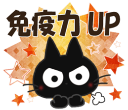 305394562