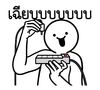 ลายที่ 31