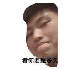 305463699