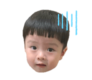 305494164