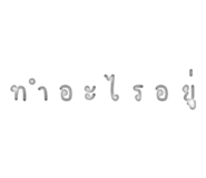 305501895