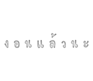 305501900