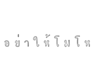 305501904