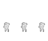 305501909