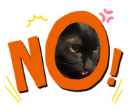305505711
