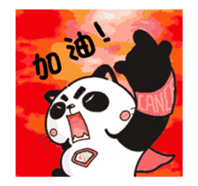 305534244
