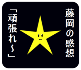 305563161