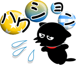305572385