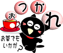 305572403