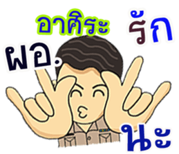 305616911