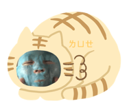 305628519