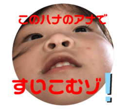 305638425