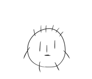 305675558