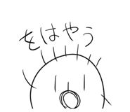305675559