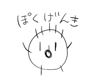 305675561