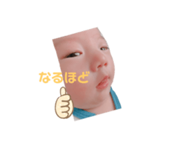305787903