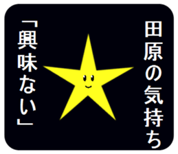 305817645