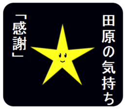 305817650