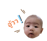 305839865