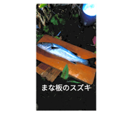 305859093