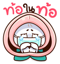 305871344