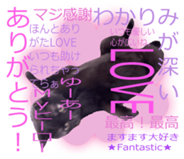 305876138