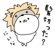 305896378