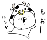 305900445