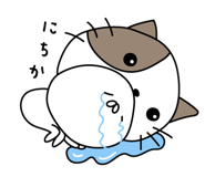 305900473