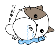305900865
