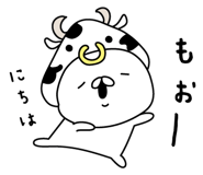 305904357