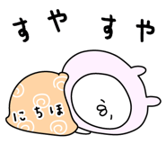 305905040