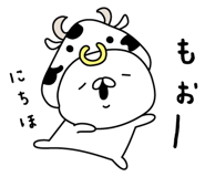 305905045