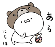 305905051