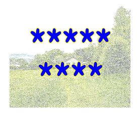 305907254